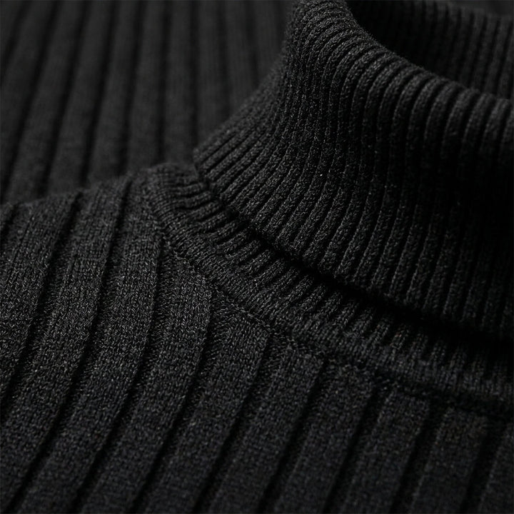 Slim Fit Turtleneck Sweater
