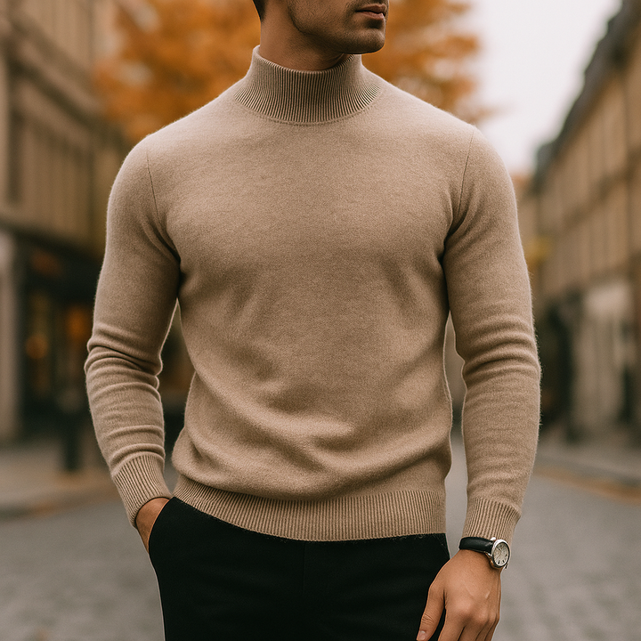 Men's Ribbed Turtleneck Sweater in Regular Fit
