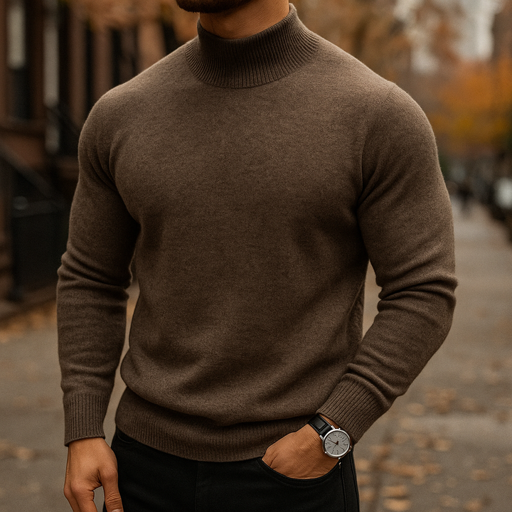 Men's Ribbed Turtleneck Sweater in Regular Fit