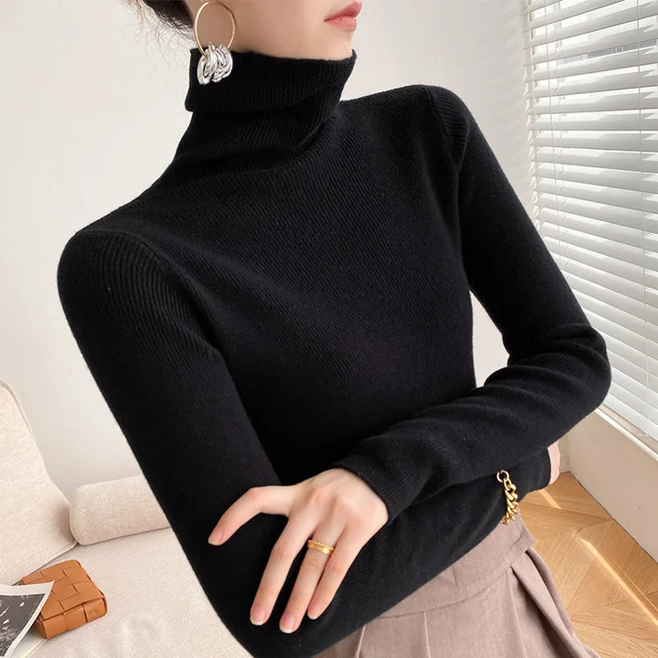 Women's Turtleneck Knit Sweater