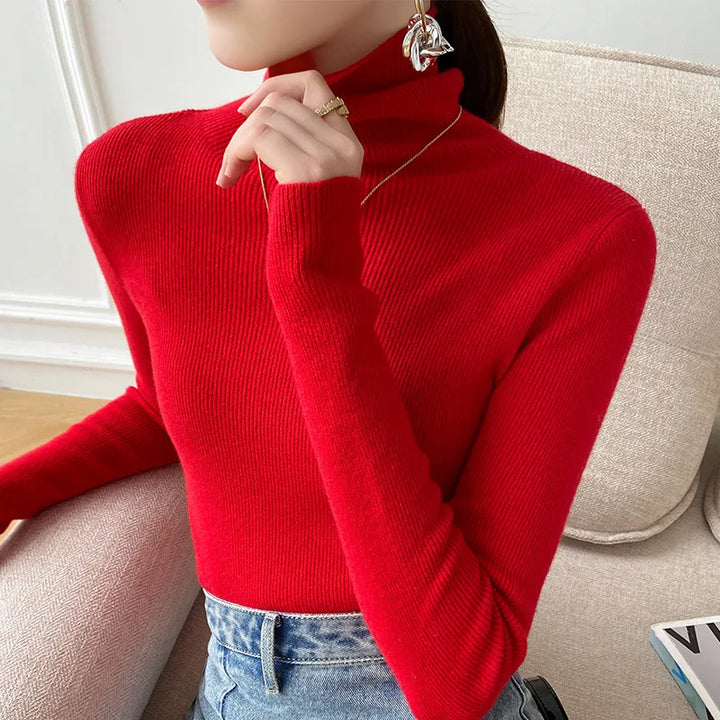 Women's Turtleneck Knit Sweater
