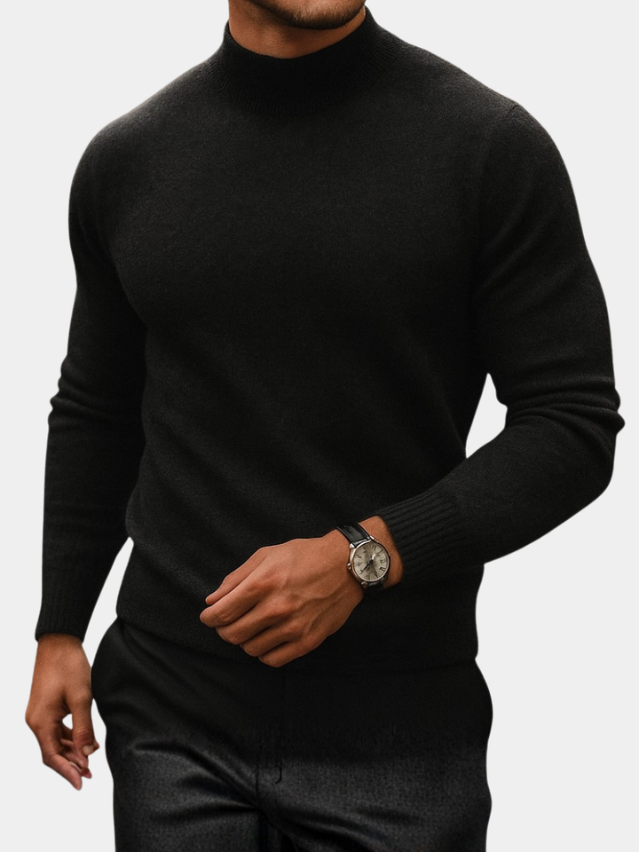 Men's Ribbed Turtleneck Sweater in Regular Fit